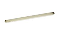 Letralite Replacement Bulb